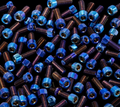 Yozma In 10full titanium bolt kit